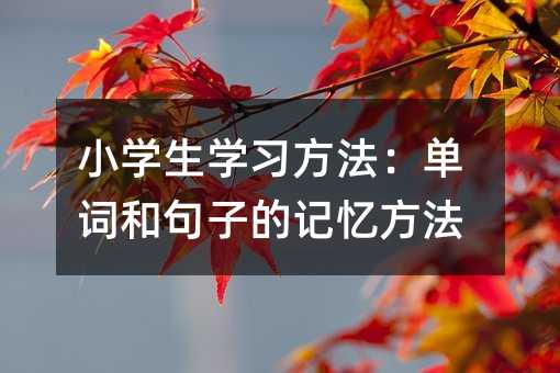 小學(xué)生學(xué)習(xí)方法:單詞和句子的記憶方法