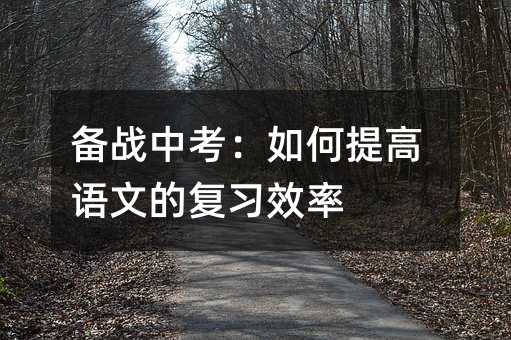 備戰中考:如何提高語文的復習效率