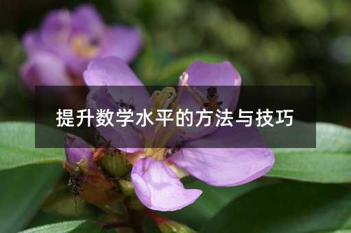 提升數學水平的方法與技巧