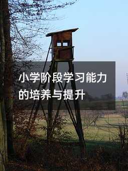 小學階段學習能力的培養與提升