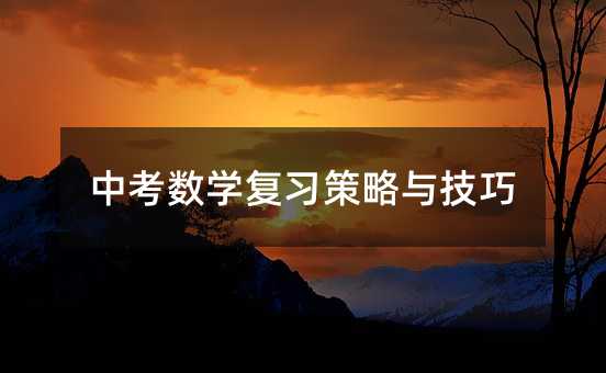 中考數學復習策略與技巧