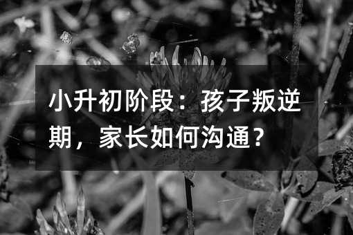 小升初階段:孩子叛逆期,家長如何溝通?