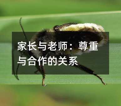 家長與老師:尊重與合作的關系
