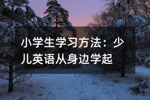 小學生學習方法:少兒英語從身邊學起