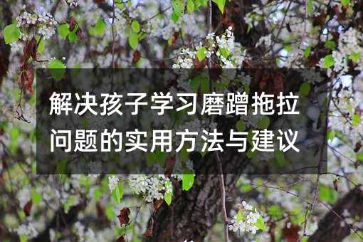 解決孩子學習磨蹭拖拉問題的實用方法與建議