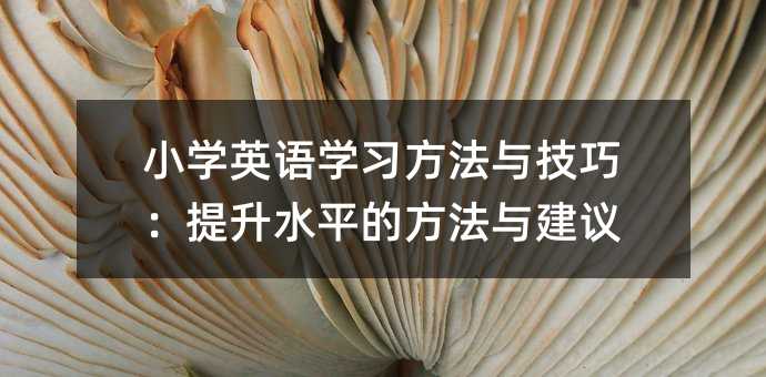 СWӢZWcɣˮƽķch