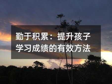勤于積累:提升孩子學習成績的有效方法