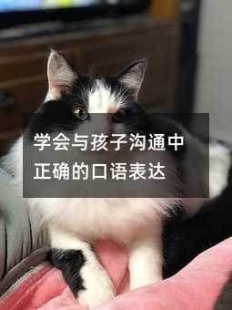 �W���c���Ӝ�ͨ�����_�Ŀ��Z���_