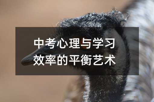 中考心理與學習效率的平衡藝術