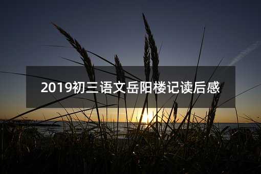 初三語文岳陽樓記讀后感