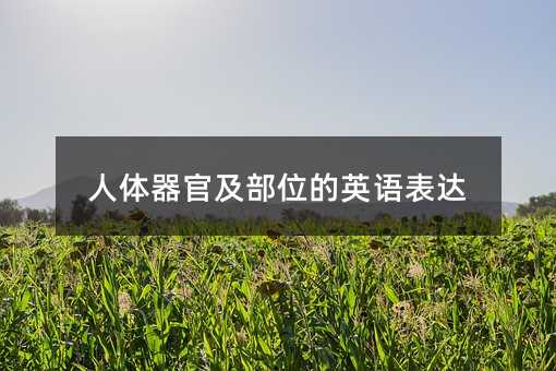 人體器官及部位的英語(yǔ)表達(dá)