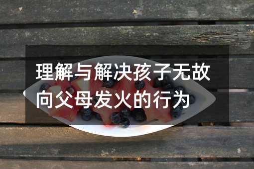 理解與解決孩子無故向父母發(fā)火的行為