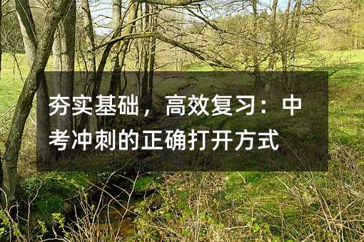 夯實基礎(chǔ),高效復(fù)習(xí):中考沖刺的正確打開方式