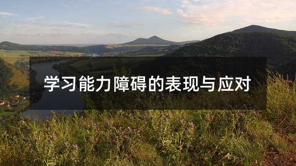 學習能力障礙的表現與應對