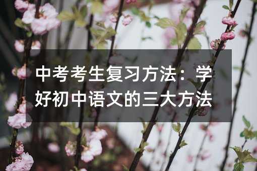 中考考生復習方法:學好初中語文的三大方法