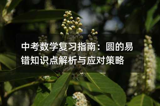 中考數學復習指南:圓的易錯知識點解析與應對策略