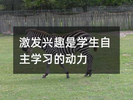 激發興趣是學生自主學習的動力