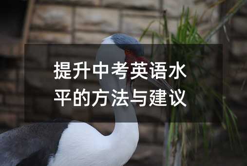 提升中考英語水平的方法與建議