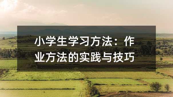 小學生學習方法:作業方法的實踐與技巧