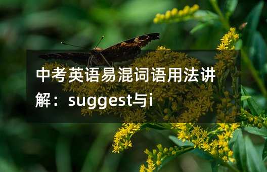 中考英語易混詞語用法講解:suggest與insist