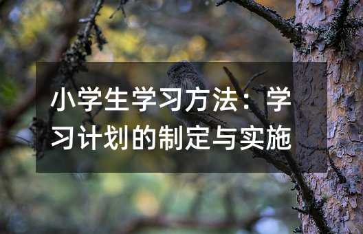 小學(xué)生學(xué)習(xí)方法:學(xué)習(xí)計(jì)劃的制定與實(shí)施