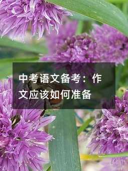 中考語文備考:作文應該如何準備