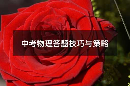 中考物理答題技巧與策略