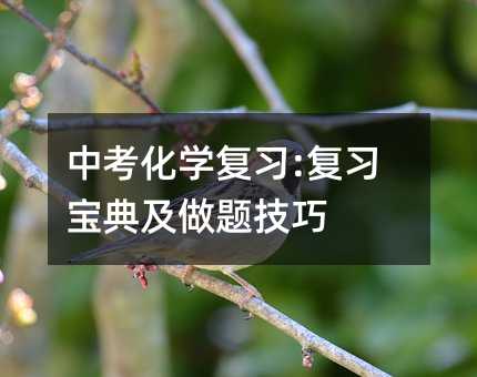 中考化學復習:復習寶典及做題技巧