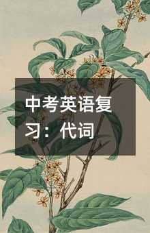 中考英語復習:代詞