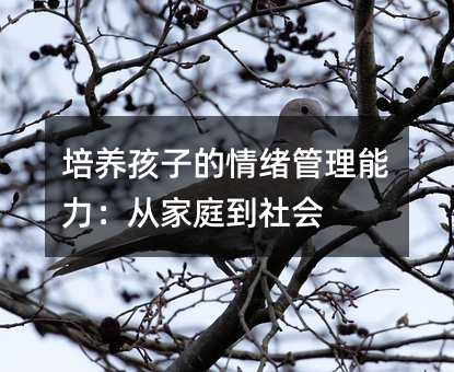 培養孩子的情緒管理能力:從家庭到社會