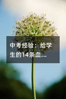 中考經驗:給學生的14條血淚教訓