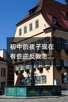 ���еĺ��ӬF����Щ�淴����ô�k��