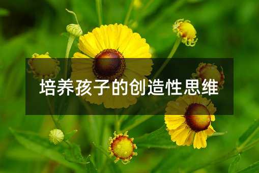 培養孩子的創造性思維
