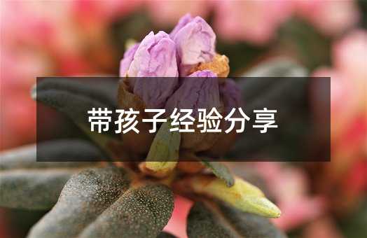 �����ӽ�����