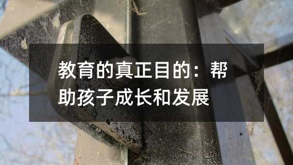 教育的真正目的:幫助孩子成長和發展