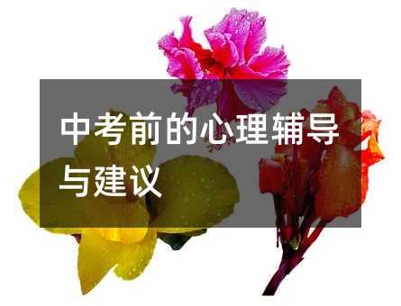 中考前的心理輔導與建議