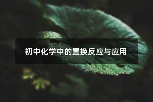 初中化學中的置換反應與應用
