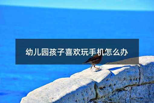 幼兒園孩子喜歡玩手機怎么辦
