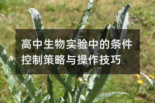 高中生物實驗中的條件控制策略與操作技巧
