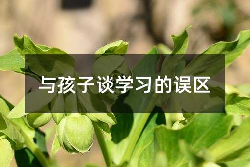 與孩子談學習的誤區