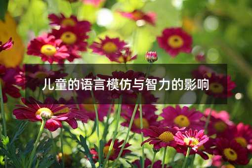 兒童的語言模仿與智力的影響