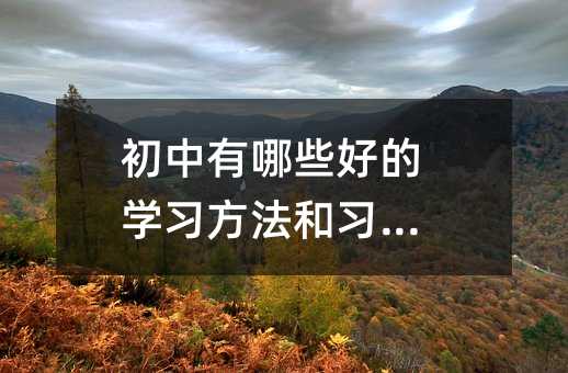 初中有哪些好的學(xué)習(xí)方法和習(xí)慣?
