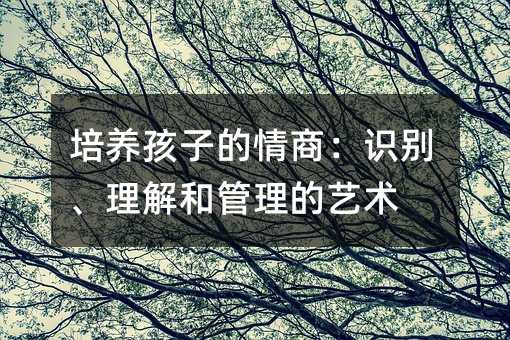 培養(yǎng)孩子的情商:識別、理解和管理的藝術(shù)