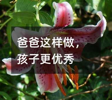 爸爸這樣做,孩子更優秀