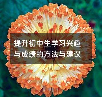 提升初中生學(xué)習(xí)興趣與成績的方法與建議