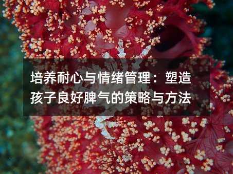 培養耐心與情緒管理:塑造孩子良好脾氣的策略與方法