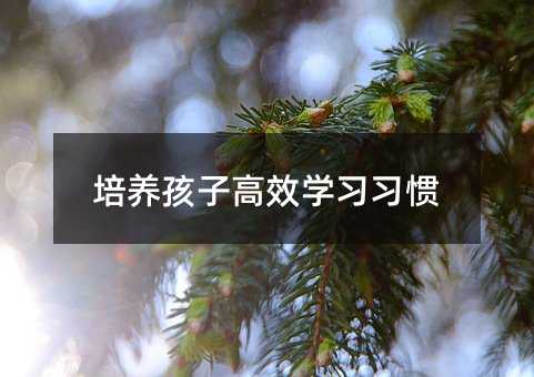培養孩子高效學習習慣