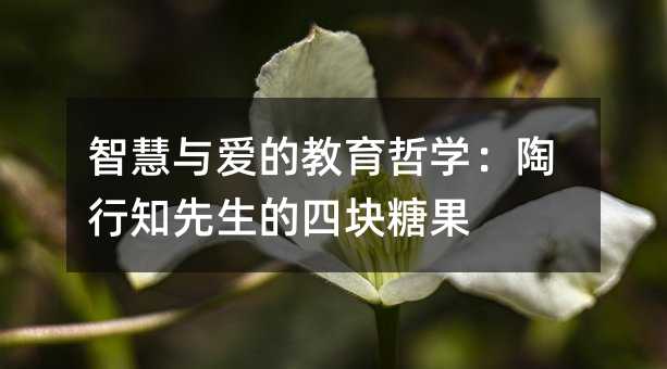 智慧與愛的教育哲學:陶行知先生的四塊糖果