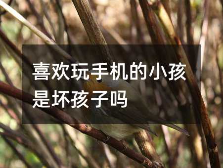 喜歡玩手機的小孩是壞孩子嗎