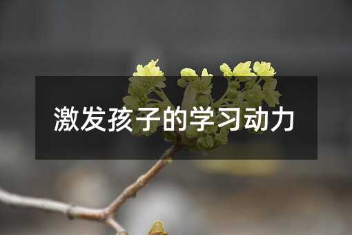 激發孩子的學習動力